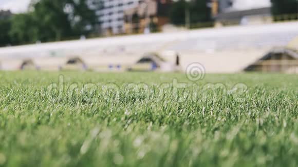 运动员在体育场美丽的草地上奔跑视频的预览图