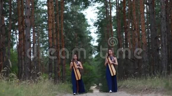 两个女竖琴手在森林里散步在松树的背景下演奏竖琴视频的预览图