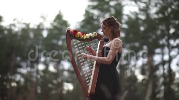 女竖琴手站在森林里在松树的背景上弹奏竖琴视频的预览图