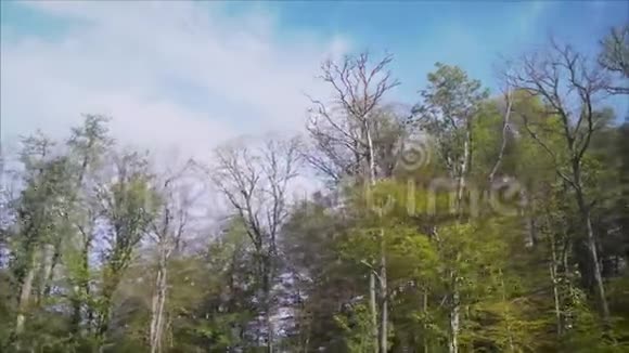 秋天山上的树视频的预览图