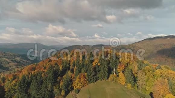 秋天不同颜色的混合森林覆盖着高山视频的预览图