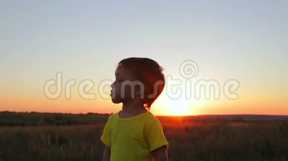 日落时的男孩鲸鱼视频的预览图