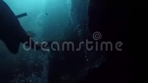 萨波特克或地狱的潜水者墨西哥的贝尔西诺特视频的预览图