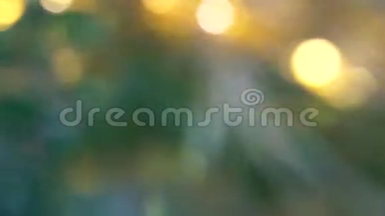 抽象的蓝色bokeh灯圣诞假期的背景视频的预览图