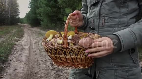 女人在秋天的森林里捧着一篮子油蘑菇新鲜的有机滑菇视频的预览图