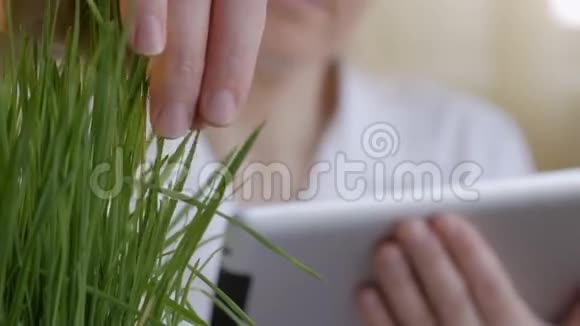 一个穿着白色工作服的女人检查青草芽并将数据输入计算机视频的预览图