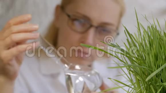 一位女科学家的特写镜头看着一个玻璃瓶的内容物里面有一种清澈的液体紧挨着生长的绿色视频的预览图