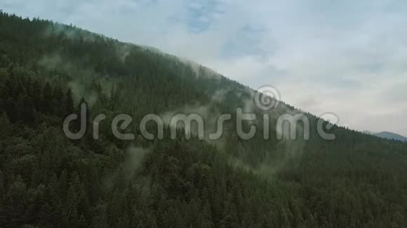 神秘而多雾的无人机在山上的雨林上空飞行近景静态视频的预览图