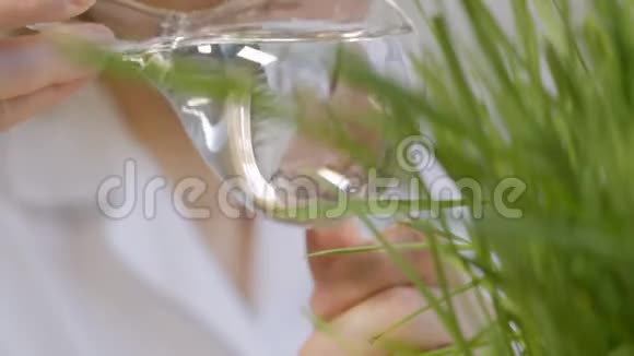 一位女科学家的特写镜头看着一个玻璃瓶的内容物里面有一种清澈的液体紧挨着生长的绿色视频的预览图