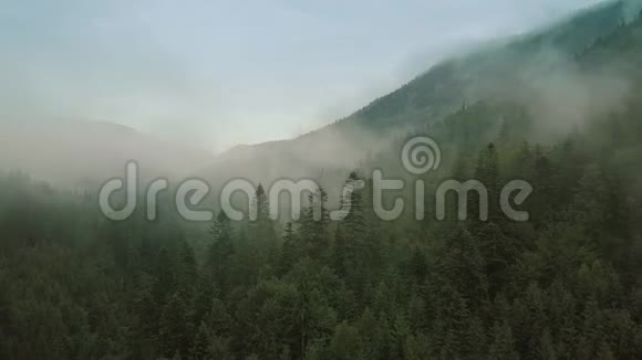 神秘而多雾的无人机在山上的雨林上空飞行关闭视野向后移动视频的预览图