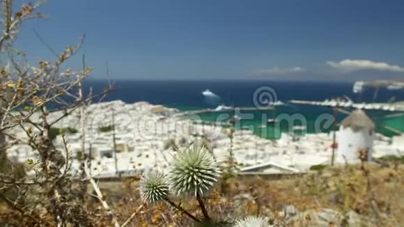 希腊麦科诺斯老港的景色视频的预览图