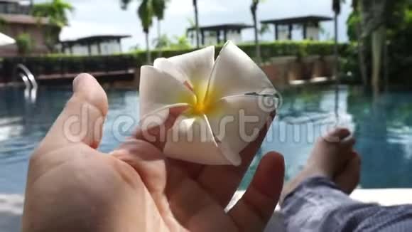 佛朗吉帕尼花在泰国热带度假胜地游客手中游泳池旁放松视频的预览图