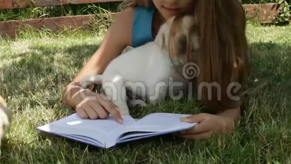 躺在草地上的女孩试图阅读和玩小狗视频的预览图