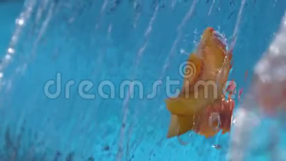 新鲜水蜜桃片以1500英尺的速度缓慢注入瀑布级联水中视频的预览图