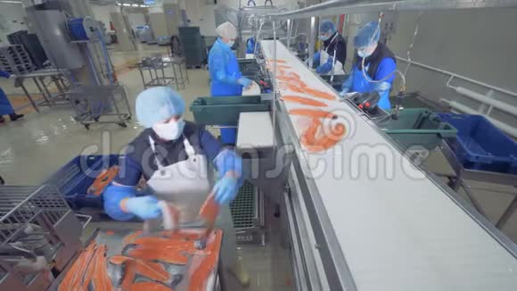 鱼类工厂单位有工作人员分拣和加工鲑鱼视频的预览图