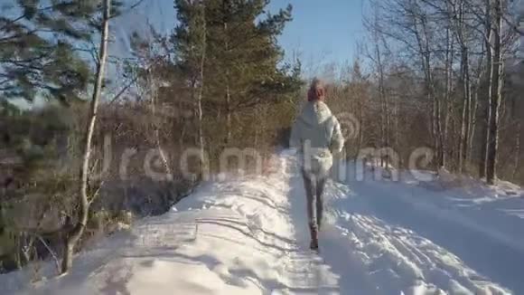 空中后侧女孩在冬天的森林里沿着道路行走视频的预览图