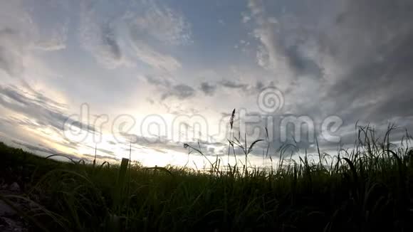 黄昏时分太阳的倒影和云彩在天空中飞快地移动稻田里有一棵树影视频的预览图