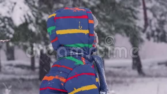 在森林或公园里穿着冬装的孩子的画像在一场降雪中度过了一个美丽的冬日视频的预览图
