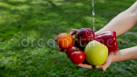 手拿着蔬菜和水果上面有水潮湿的蔬菜和水果以保持卫生视频的预览图