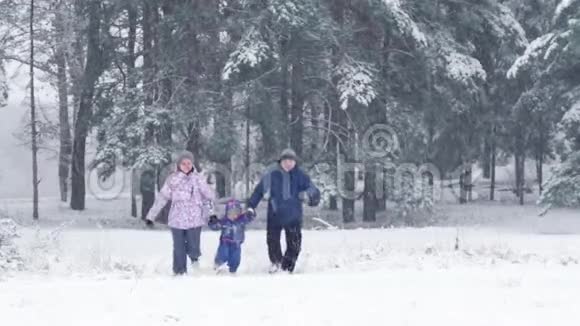 幸福的家庭爸爸妈妈和儿子在森林或公园里的一个下雪的冬天牵手视频的预览图