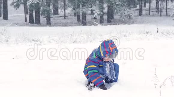 快乐的孩子在森林或公园里玩雪降雪时美丽的冬日新鲜的乐趣和游戏视频的预览图