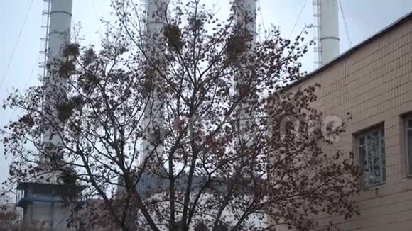 灰蒙蒙的天空背景下的烟雾工业管道烟从植物的烟囱里冒出来顶着灰色的天空环境视频的预览图