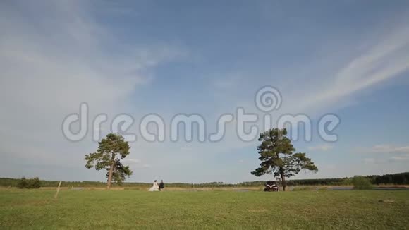蓝天上有树的田野视频的预览图