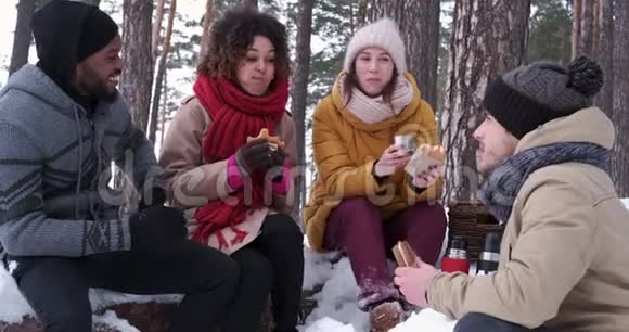 轻松的朋友在雪地森林里野餐视频的预览图