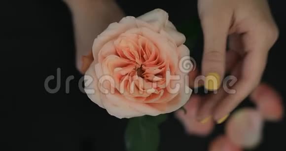 女性的手撕下花瓣视频的预览图