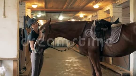 一匹棕色的马正被一位女骑手慈爱地抓伤视频的预览图