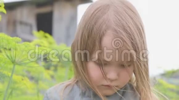 孤独的小女孩站在高高的草地旁边悲伤地往下看视频的预览图