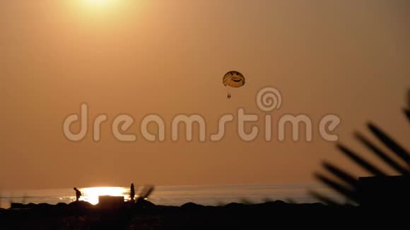 在日落时寄生降落伞在船后的绳索上飞行透过棕榈叶剪影观看视频的预览图