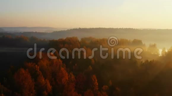 无人机飞过史诗般的秋林湖树上笼罩着雾气宁静的日落自然视频的预览图