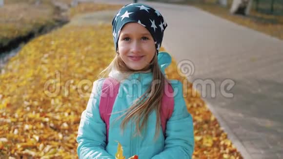 女孩在秋天公园玩幼儿投掷黄红叶有橡木和枫叶的婴儿落叶家庭视频的预览图