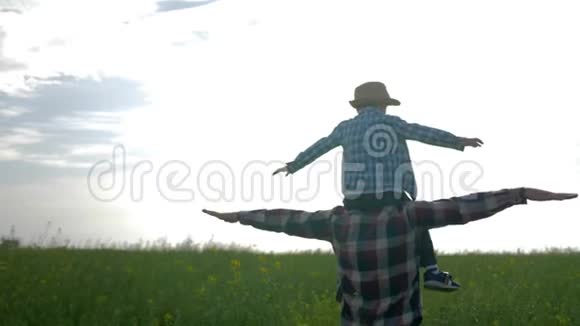 父子关系小男孩坐在爸爸的肩上在背景天空的油菜田上玩飞机视频的预览图