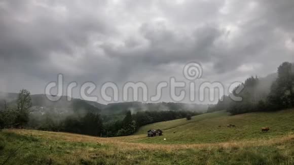 在阿登内的丘陵草地上随着奶牛的出现云和雾的时间推移视频的预览图