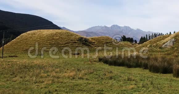 新西兰自然土丘4K视频的预览图