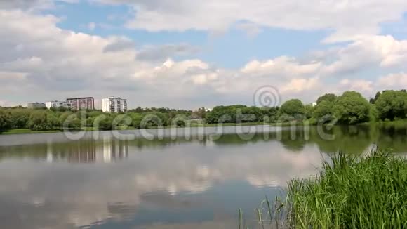 夏天的池塘远处城市可见视频的预览图
