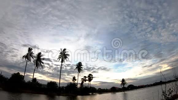 椰子树和水的影子随着太阳和云层的反射在天空上快速移动视频的预览图
