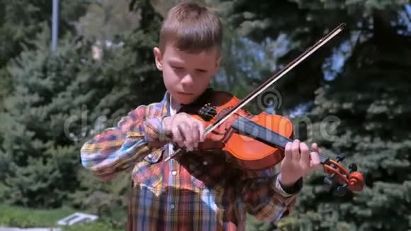 小男孩的画像是在松树的背景下站在公园里拉小提琴视频的预览图