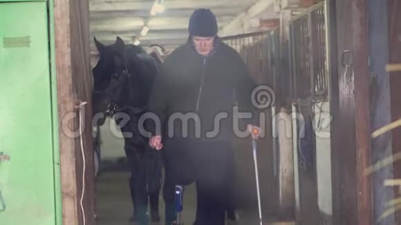 一位年轻的残疾人骑师从马厩里牵出一匹黑色纯种马男人有假肢而不是他的权利视频的预览图