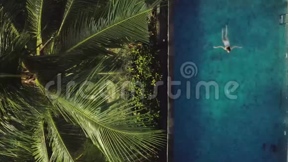 布鲁内特女孩在热带植物和树木附近的室外游泳池游泳视频的预览图