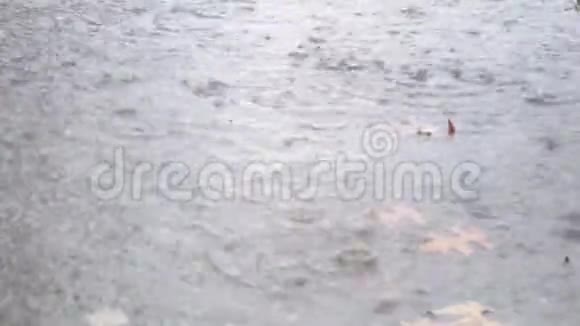 夏天天气不好雨滴在城市沥青上落下一个大水坑视频的预览图