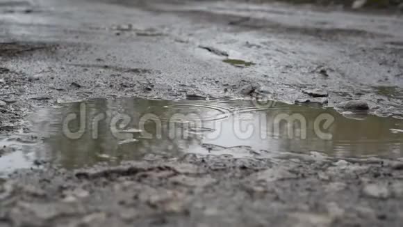 雨落在泥坑里视频的预览图