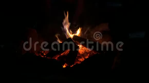 篝火火焰在夜晚视频的预览图