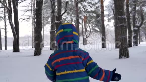 摄像机在奔跑的孩子后面移动冬天一个小男孩在树间奔跑家庭观念视频的预览图
