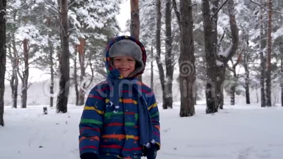一个快乐的笑着的孩子跑到森林或公园里的一个移动的Stedikam摄像机前一个小男孩在玩耍视频的预览图