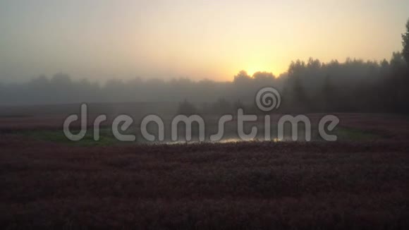 乡村雾状日出自然的乡村景象一片温暖阳光的田野夏日黎明的概念视频的预览图
