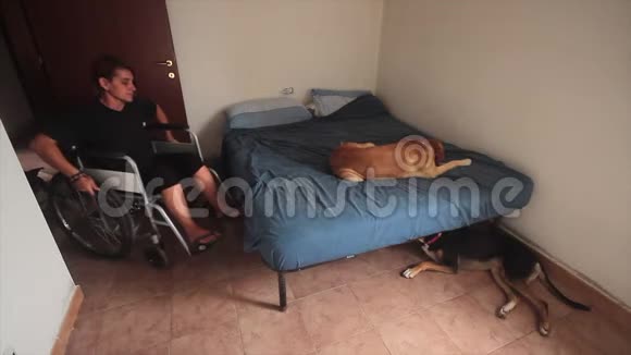 在日常生活中坐在轮椅上的残疾女孩会和她心爱的狗睡觉视频的预览图