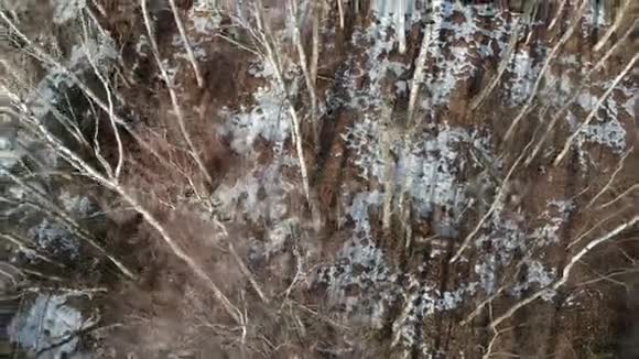 初春的沼泽的野生森林最后的冰雪空中视频的预览图